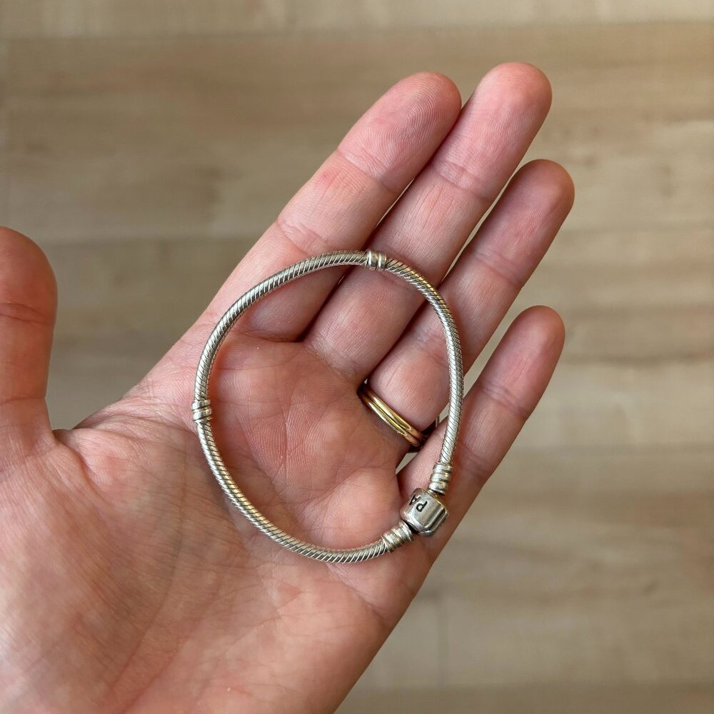 Pandora Moments Snake Bracelet